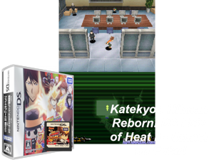 Game Thumbnail - Katekyoo Hitman Reborn! DS - Fate of Heat II - Unmei no Futari (Japan) [b]